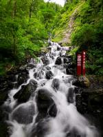 海滩棚屋逃生